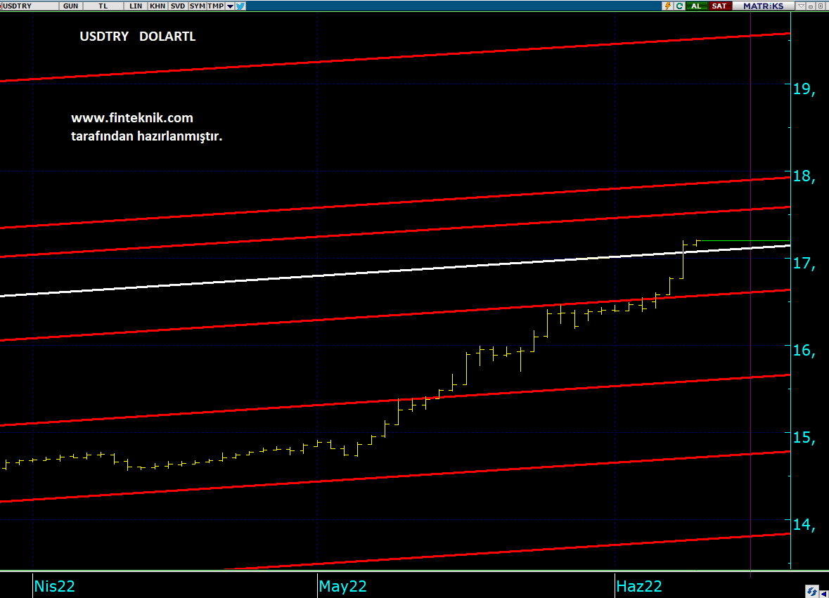 dolar09062022